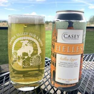 强推！5月13产 凯西 慕尼黑 德式清亮拉格 精酿啤酒 黄啤酒 473ml