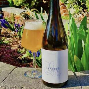 尖货少量！ 副计划 单一农场 干投酒花 赛松 农舍艾尔 野菌酸啤酒