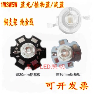 3W灯珠uv紫外线LED灯珠5W紫光365NM395NM380N420NM美甲固化照蝎子