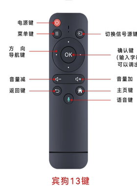宾狗原装遥控器带AI蓝牙语音控制M6SP3PROX28X26C1DS226A350DX657
