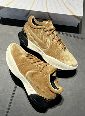 Nike Zoom Lebron 21 詹姆斯LBJ21缓震抗扭耐磨篮球鞋 FZ7884-700