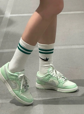 Nike Dunk Se Next Nature浅绿色运动休闲复古低帮板鞋FN6344-001