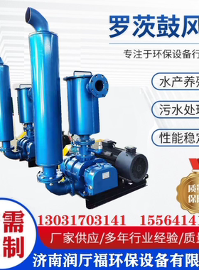三叶罗茨风机曝气增氧机RTSR65型罗茨鼓风机增氧泵高压负压真空泵