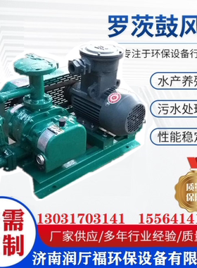 防爆密封RTSR65MT罗茨增压泵燃气增压泵沼气增压泵不锈钢罗茨风机