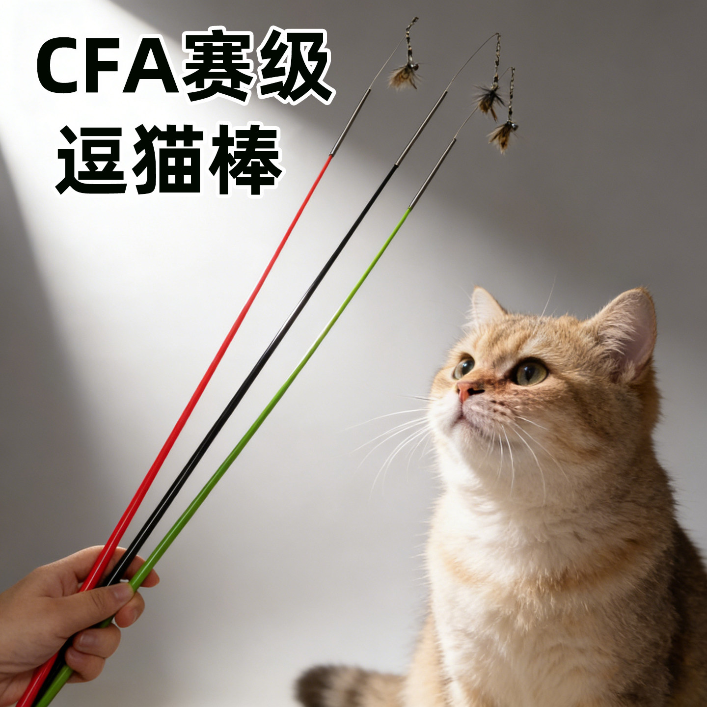 CFA赛级逗猫棒可伸缩加长猫咪玩具小飞虫昆虫逗猫棒解闷替换羽毛