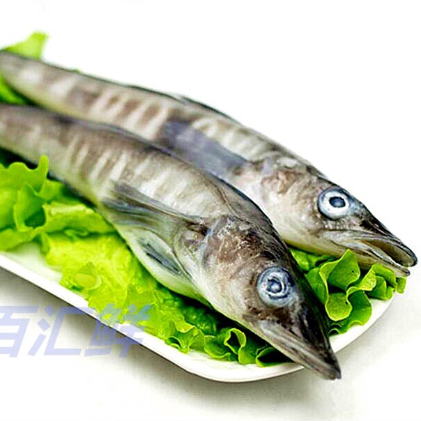 【中码南极冰鱼】3条装5条装白鱼深海鱼铁板烧清蒸露营烧烤西餐厅