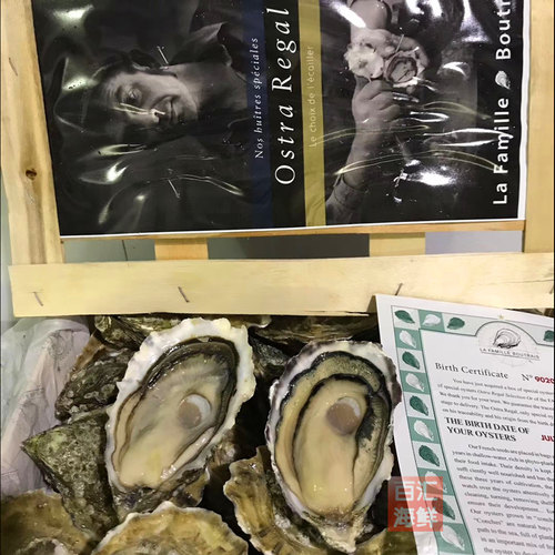 法国皇御生蚝5只起售开壳生食
