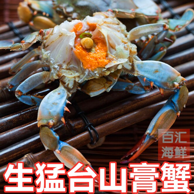 单只【鲜活台山膏蟹】一只4~5两 母蟹羔蟹满膏清蒸青蟹奄仔蟹河蟹