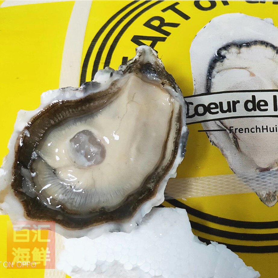 法国皇钻蚝5只起售开壳刺身