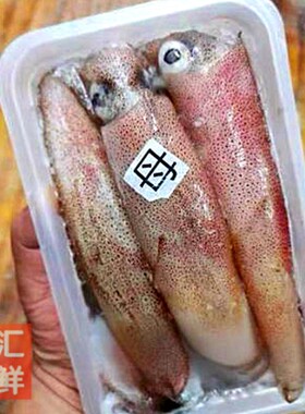 母膏鱿有羔鱿鱼整只带糕鱿鱼