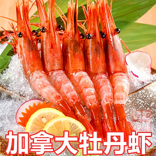 【加拿大牡丹虾】1kg黑盒北极甜虾日式刺身斑点对虾寿司日餐日料