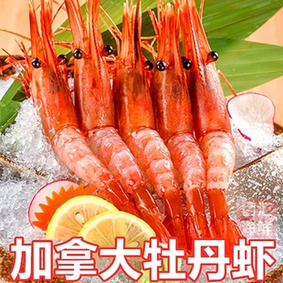1kg黑盒北极甜虾日式 加拿大牡丹虾 刺身斑点对虾寿司日餐日料