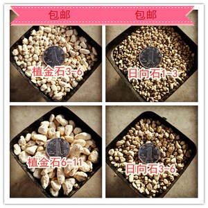 萱萱园艺 日本进口植金石 日向石 兰花 盆景 多肉种植土 铺面土