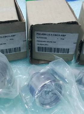 Swagelok 压力表 PGI-40M-LG.6-CBCX议价 维修！！！