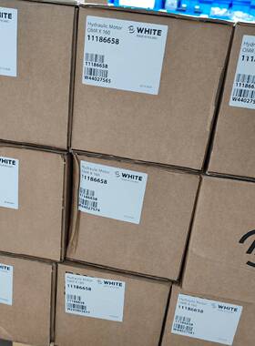 OMRX160 11186658  怀特WHITE摆线马议价 维修！！！