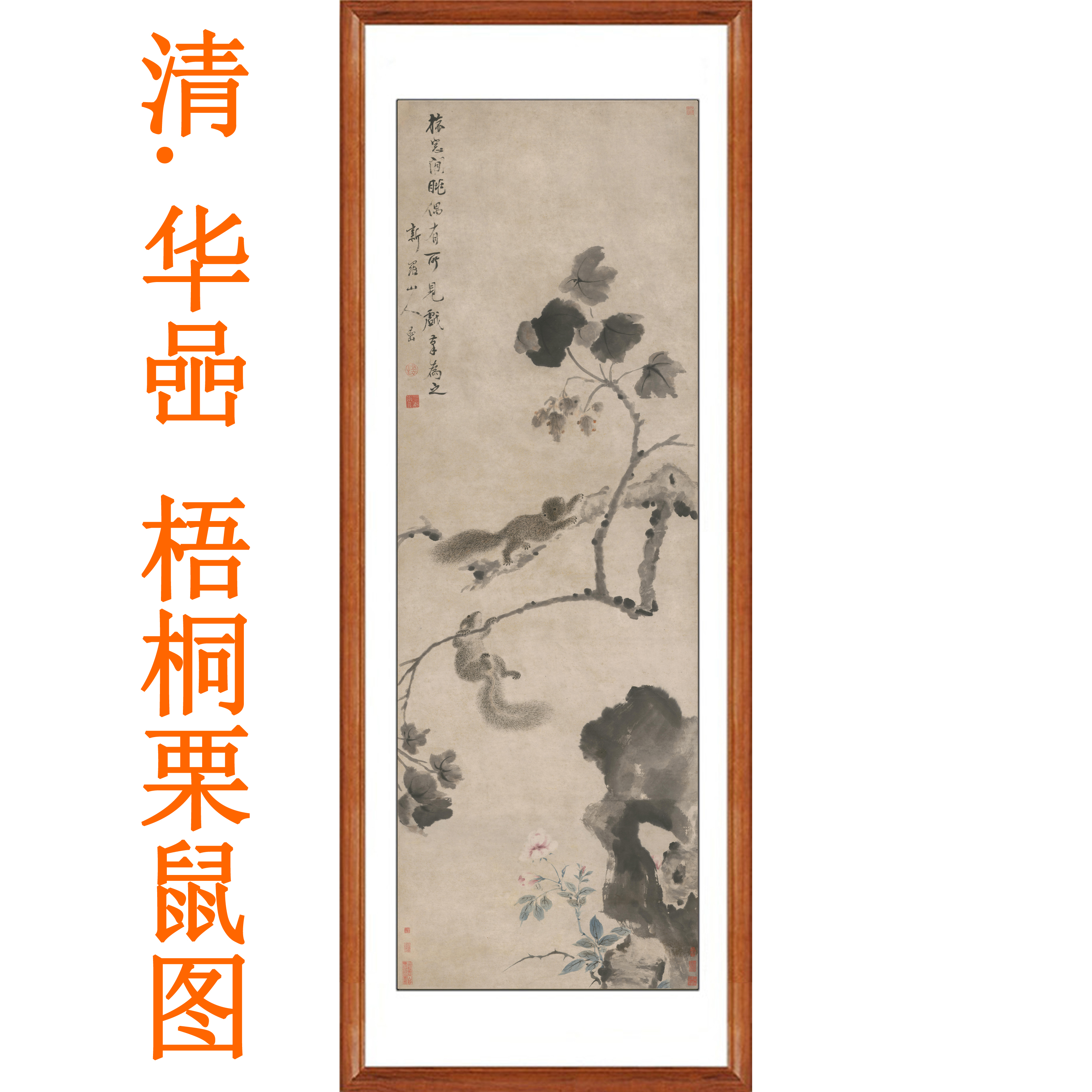 华嵒梧桐栗鼠图国画真迹版画装饰画字画水墨画花鸟画客厅卷轴挂画