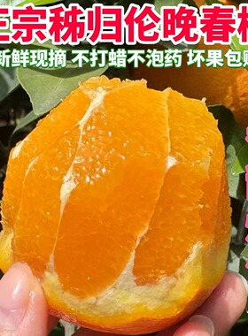正宗湖北秭归伦晚脐橙当季新鲜水果纯甜爆汁孕妇橙子榨汁手剥现摘