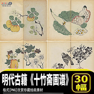 画谱果谱鸟谱传统绘画明代古籍十竹斋学习临摹资料素材png源文件