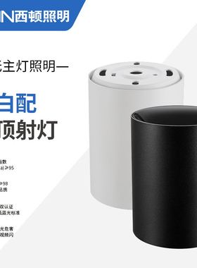 西顿照明明装射灯免开孔客厅家用无主灯天花灯吸顶射灯CEX9102C