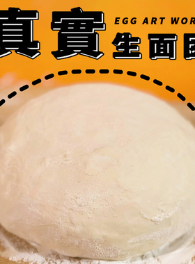 EGG Slime 真实面团 史莱姆捏捏乐 特殊仿真质感 掌上解压