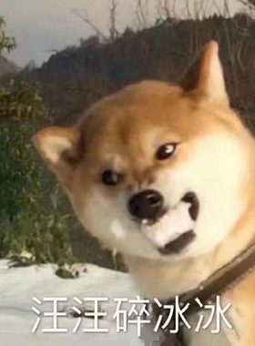 EGG Slime 汪汪碎冰冰 史莱姆捏捏乐 狗狗色炸耳泥 AMSR解压