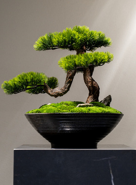 新中式禅意永生苔藓绿植盆景苏式家居装饰花客厅花架玄关花艺