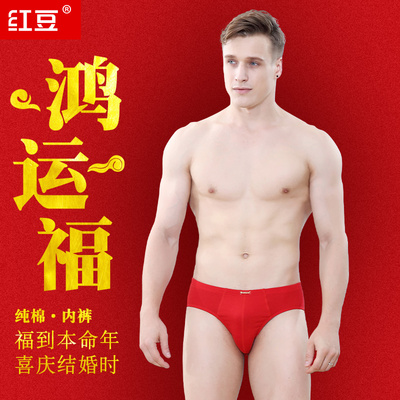 红色本命年结婚l三角内裤红豆