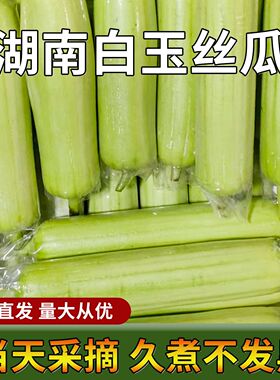 湖南本地白玉丝瓜新鲜嫩农家自种肉丝瓜当季蔬菜现摘现发
