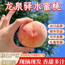 正宗四川龙泉驿水蜜桃小白凤晚湖景新鲜大运果顺丰成都龙泉软桃子