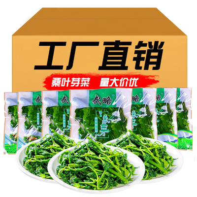桑叶芽250g新鲜桑叶苗上汤桑叶菜食用嫩桑叶尖冷冻半成品餐饮商用