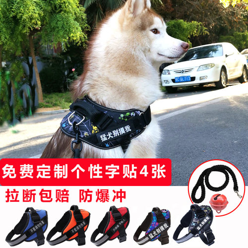 狗狗牵引绳胸背带免费定制字牌