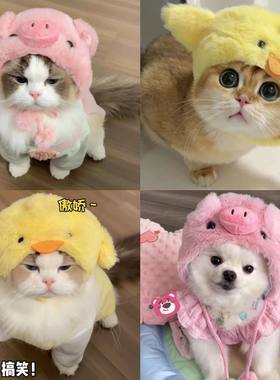 小猪猫咪帽子小鸡宠物头套小型犬搞怪头饰可爱拍照变装帽网红