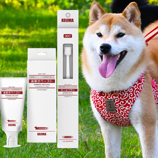 日本KOJIMA宠物狗狗柯基柴犬牙膏牙刷除口臭可食用牙齿清洁用品
