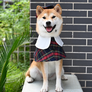 宠物围巾狗狗猫咪英伦格子斗篷帽子 柴犬柯基披风围脖口水巾配饰