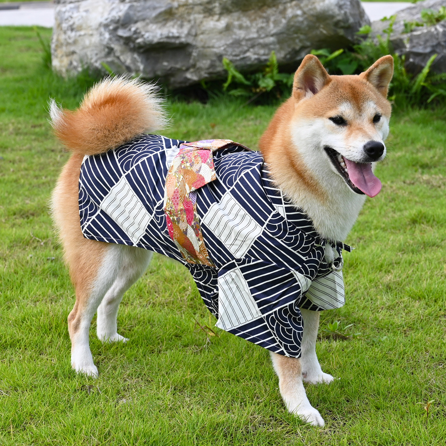 柴犬柯基法斗格子海浪衣服