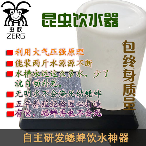 蟋蟀饮水器喂水器昆虫补水保湿盆
