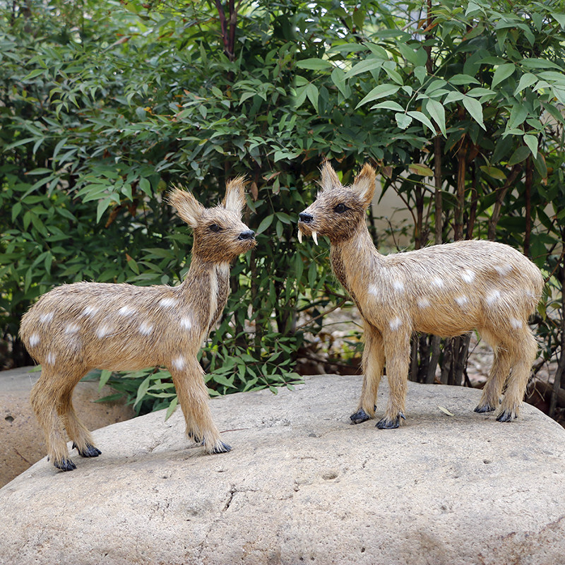 仿真森林麝香獐子麝野生动物认知摆件手工玩具工艺品摄影道具标本