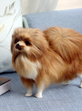 仿真狗桌面摆件博美犬狗狗公仔摆件家居商场装饰狗小动物模型模特