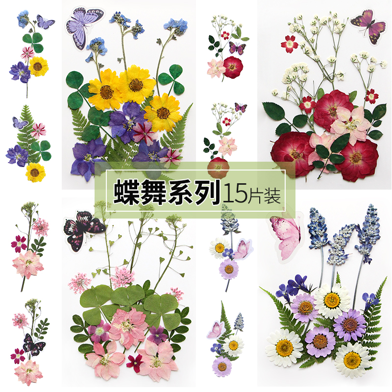 植物标本干花真花diy压花材料包