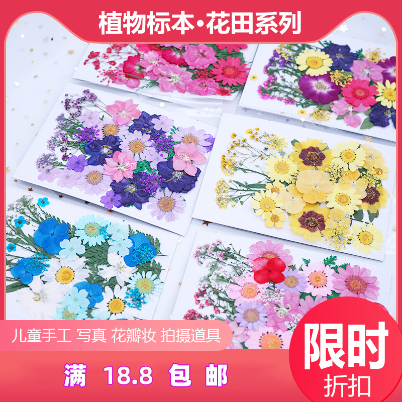 天然干花diy材料创意压花书签真树叶植物标本押花滴胶手机壳化妆 家居饰品 干花/花瓣/干花包/干树枝 原图主图