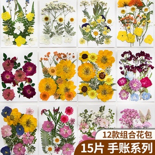 新品 干花diy材料手账系列压花滴胶相框书签天然真花植物标本押花