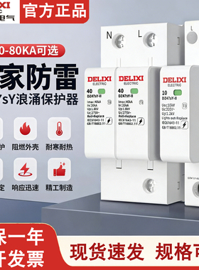 德力西电气浪涌保护器DZ47SY 2P家用三相二级40ka单相220v避雷器