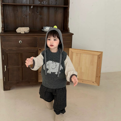 宝宝秋装儿童秋款衣服2026款韩版童装男童针织马甲格子裤套装