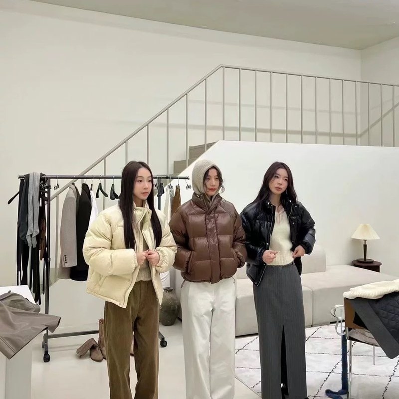 form韩国东大门代购3another 立领厚实亮面百搭宽松羽绒服外套女