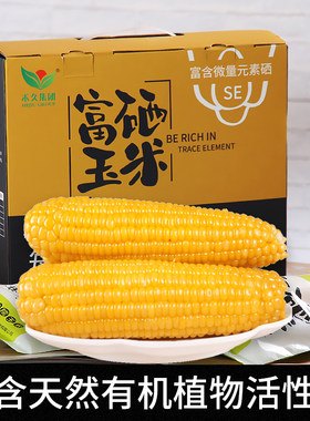 禾久有机新鲜黄糯玉米富硒玉米