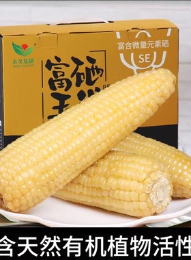 禾久富硒玉米有机新鲜白糯玉米