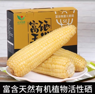 【富硒玉米】张家口禾久有机新鲜白糯玉米黏粘真空礼盒装非转10棒