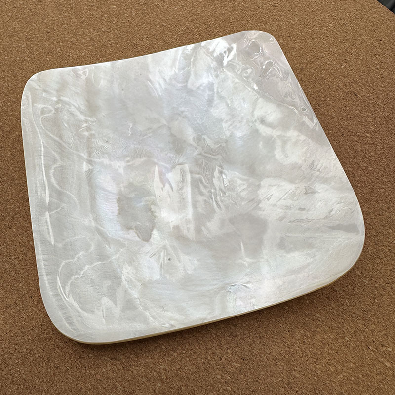 天然大贝壳酒店饭店家用小食碟