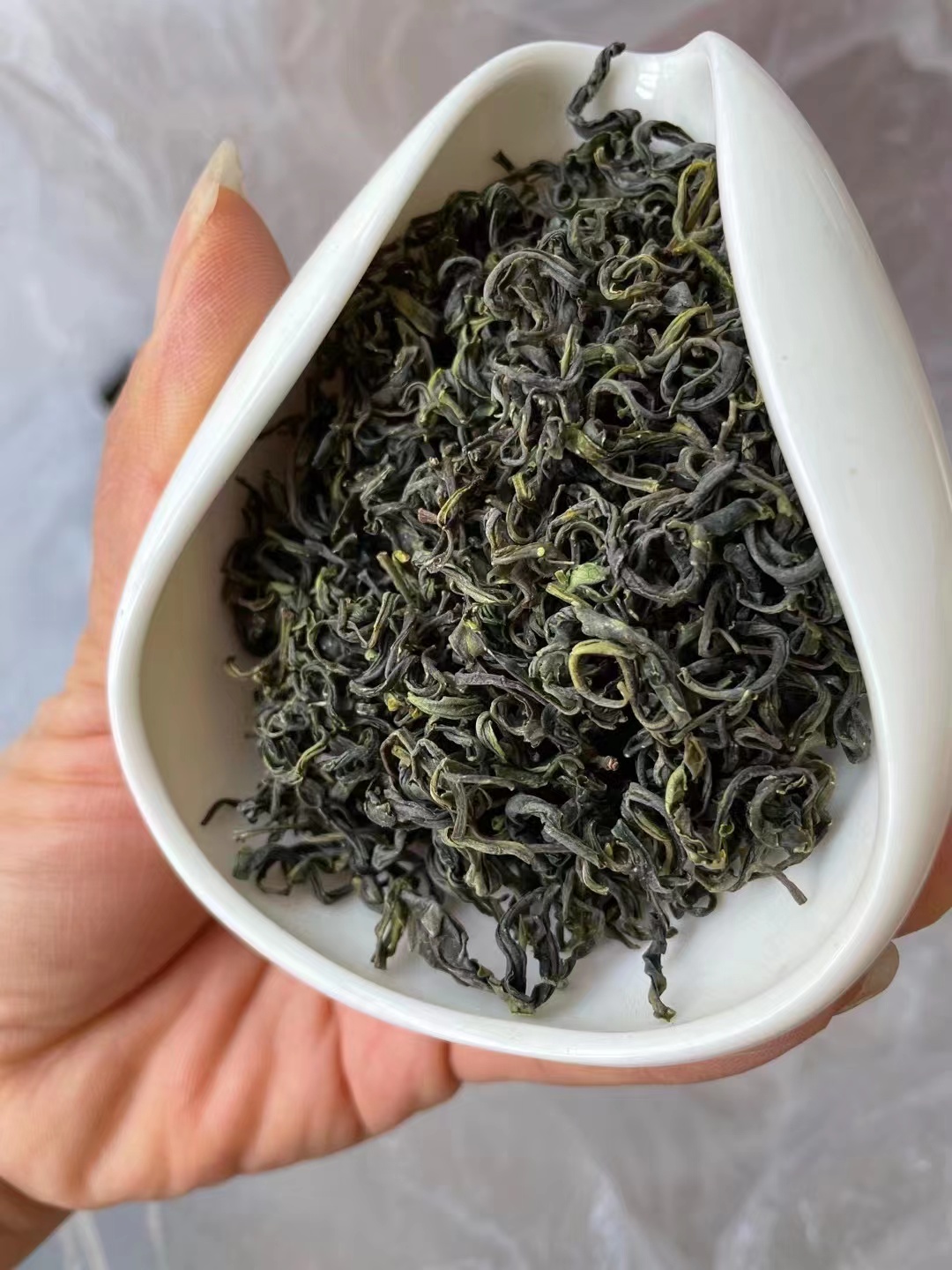 预售等新茶海青茶青岛胶南海青茶叶绿茶茶农赛崂山茶日照绿茶包邮-封面