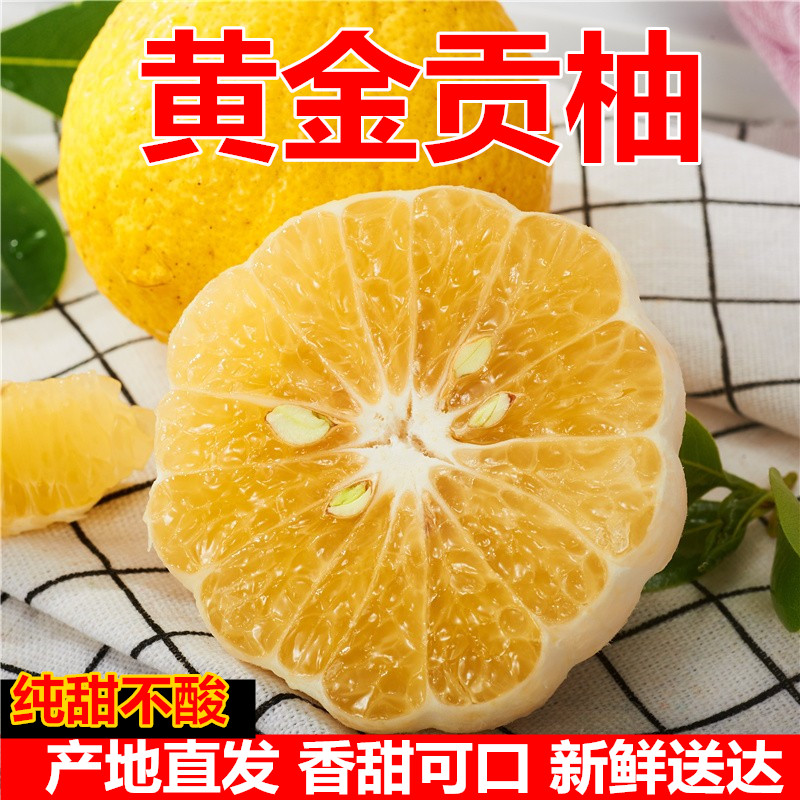 正宗湖南雪峰山怀化黄金贡柚9斤新鲜水果春香柚小柚子象山青甜柚
